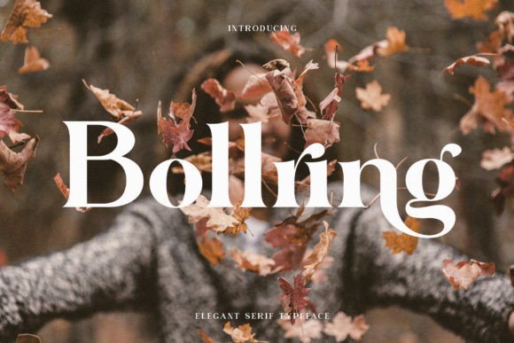 Bollring Serif Font for Campaign Design