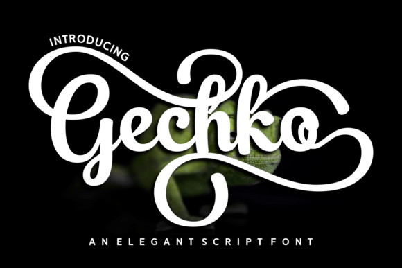 Geckho: A Playful Script Font for Web Design