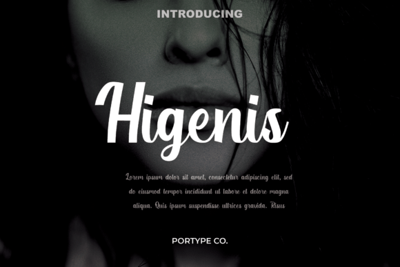 Higenis Font for Modern Web Design