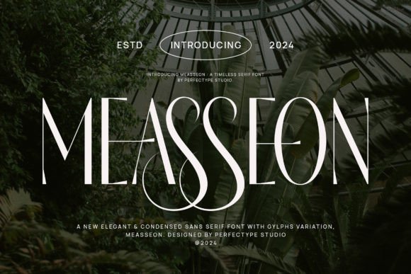 Measseon: A Serif Font That Elevates Branding Projects