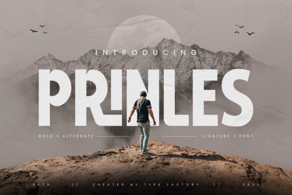 Prinles: A Bold Font for a Polished Brand Look