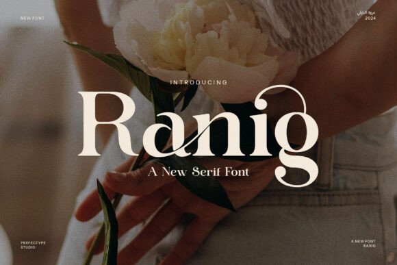 Ranig Serif Font for Modern Web Design